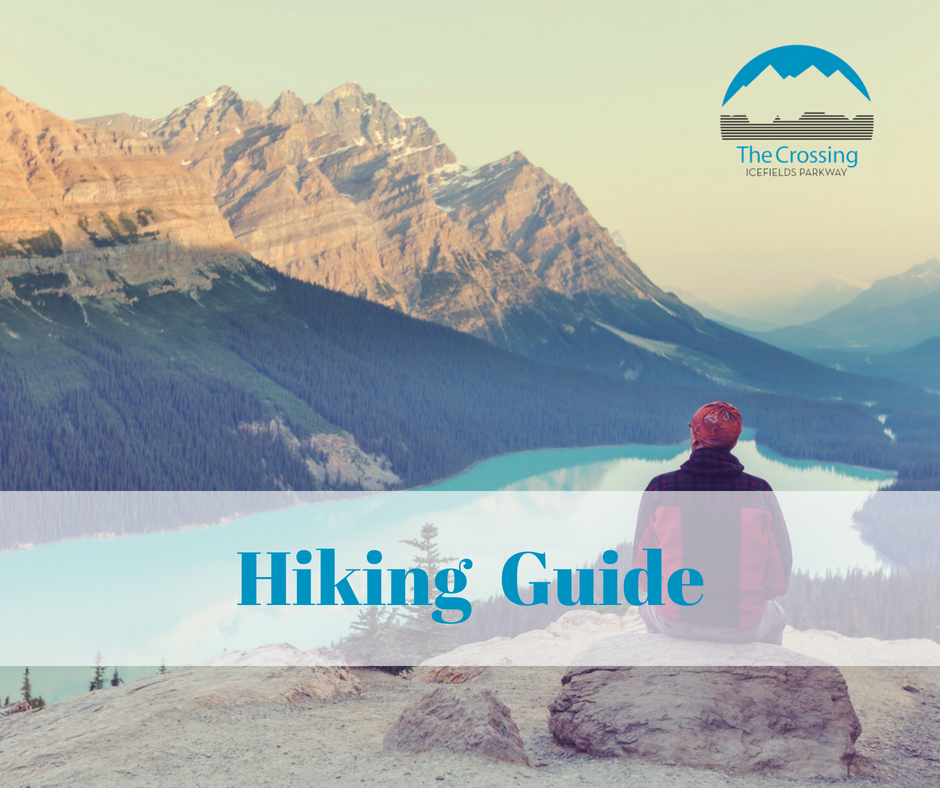 Icefields Parkway Hiking Guide